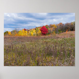 Poster paysage des prairies en automne au parc d'état aft