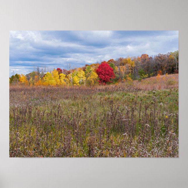 Poster paysage des prairies en automne au parc d'état aft (Devant)