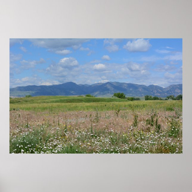 Poster Paysage d'été du Colorado (Devant)