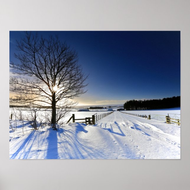 Poster Paysage d'hiver (Devant)