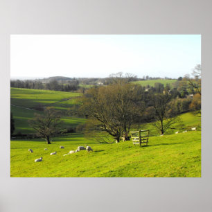 Poster Paysage d'hiver près de cardon à Somerset