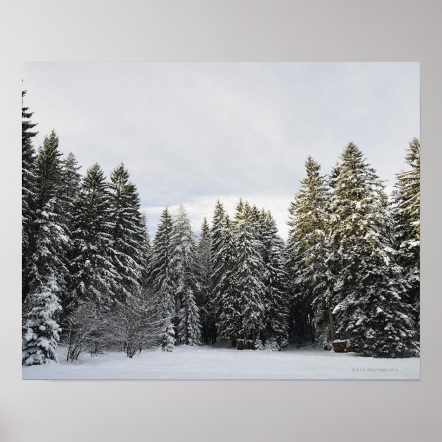 Poster Paysage d'hiver près de Koenigsfeld, Forêt-Noire, (Devant)