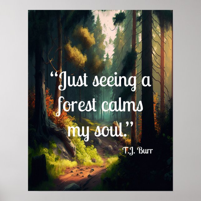 Poster Paysage forestier (Devant)