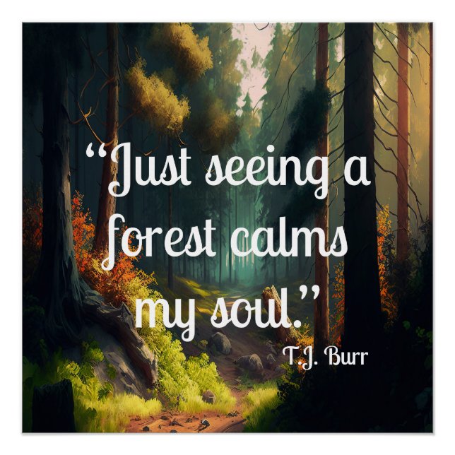 Poster Paysage forestier (Devant)