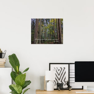 Poster Paysage forestier avec citation de John Muir