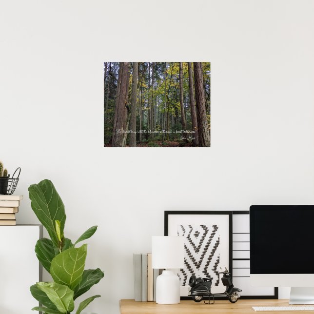 Poster Paysage forestier avec citation de John Muir (Bureau à domicile)