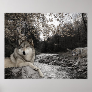 Poster Paysage forestier de Wolf Creek Brook