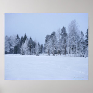 Poster Paysage froid 8 d'hiver de Milou