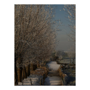 Poster Paysage hivernal