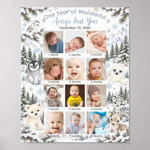 Poster Paysage hivernal arctique Animaux Première année P