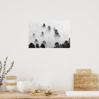 Poster Paysage hivernal Photographie noir et blanc
