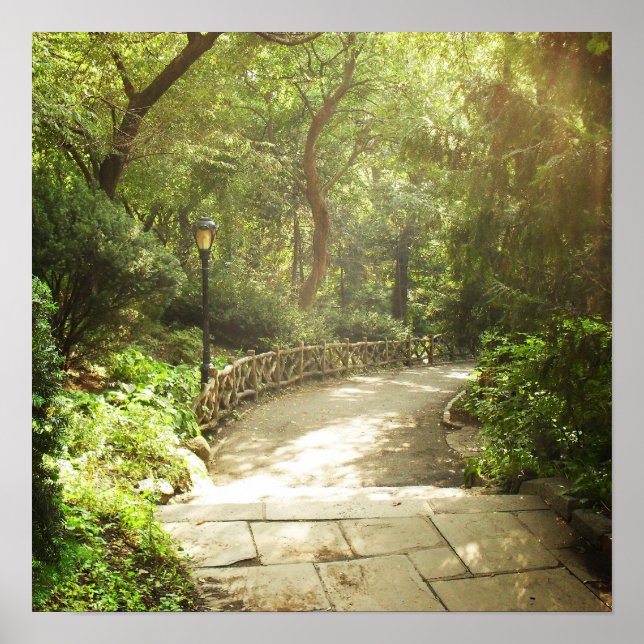 Poster Paysage luxuriant du parc central, NYC, Moyen (Devant)