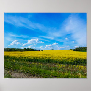 Poster Paysage naturel Champ de canola rural Biélorussie