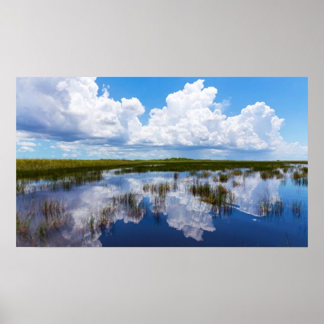 Poster Paysage naturel des Everglades (Devant)