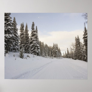 Poster paysage Neige-couvert