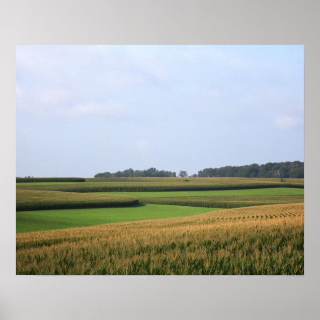 Poster Paysage rural de ferme du Midwest 16x20 (Devant)