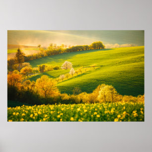 Poster Paysage rural paisible en poutres de soleil. Beau 