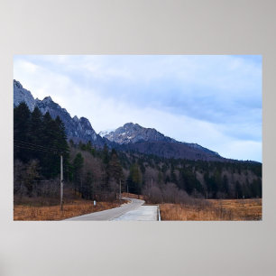 Poster Paysage Scénique de la Route Forestière Nature Sau