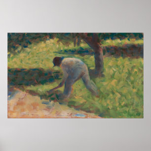 Poster Paysan Avec Chou