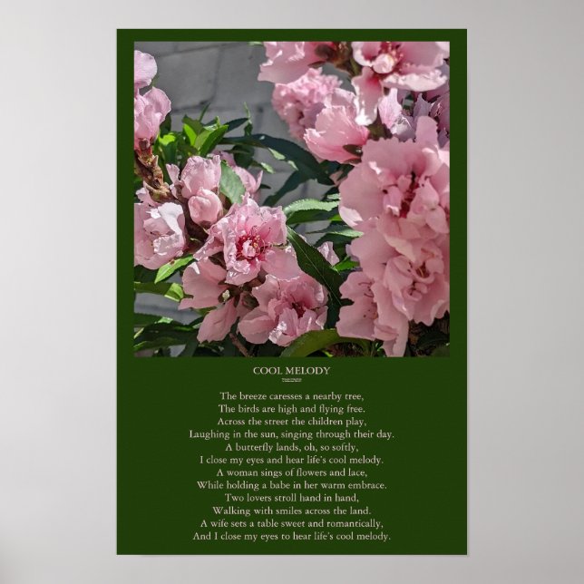 Poster Peach Blossom Photo avec Cool Melody Poem (Devant)