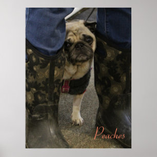 Poster Peaches