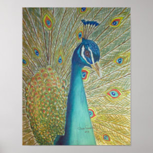 Poster Peacock