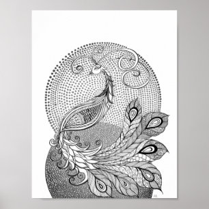 Poster Peacock