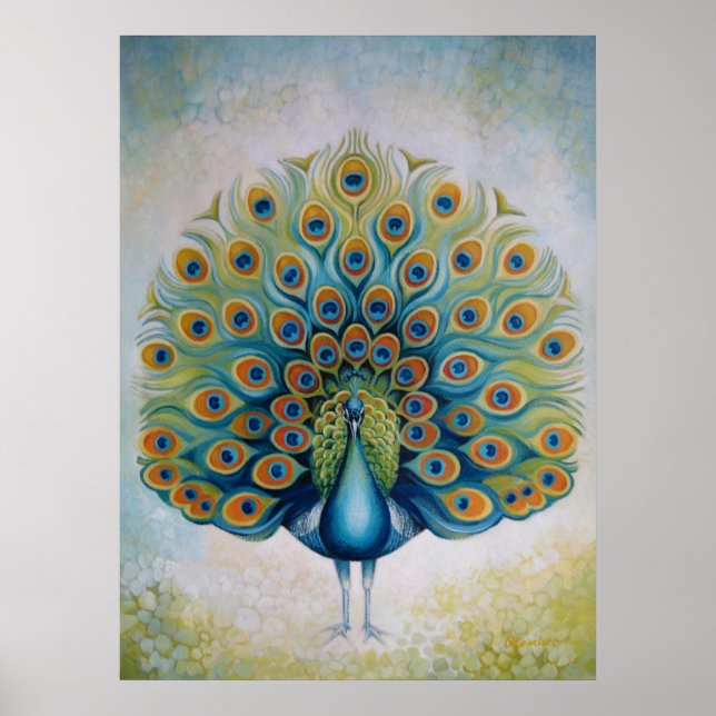 Poster Peacock (Devant)