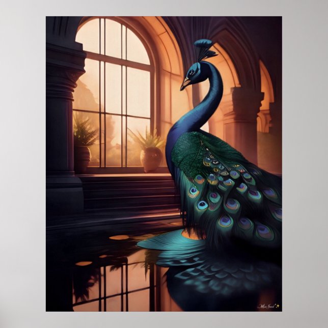Poster Peacock bleu (Devant)
