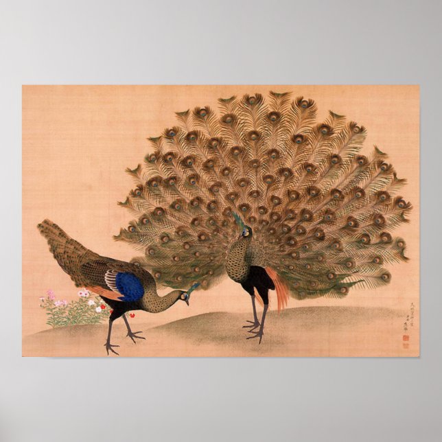 Poster Peacock d'Asie vintage (Devant)