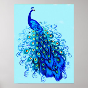 Poster Peacock en bleu turquoise et cobalt