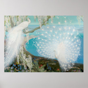 Poster Peacock et glycine par Jessie Arms Botke