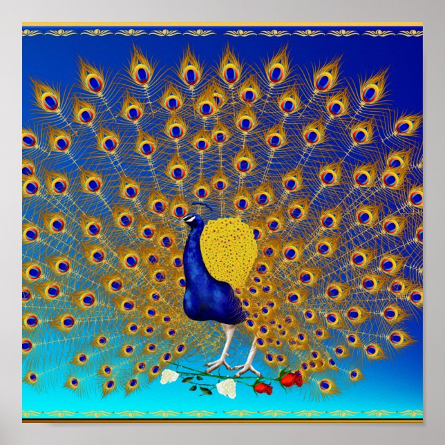 Poster Peacock et Rose (Devant)