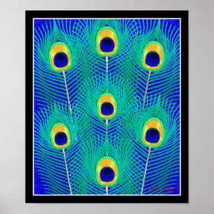 Poster Peacock Feathers Imprimer