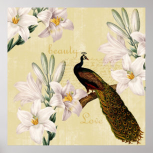 Poster Peacock Lilies