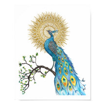 Peacock Mandala 8x10 Imprimer