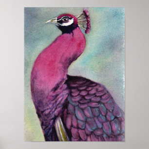 Poster Peacock rose chaud exceptionnel