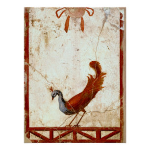 Poster Peacock sur Fresco Ancienne peinture romaine antiq