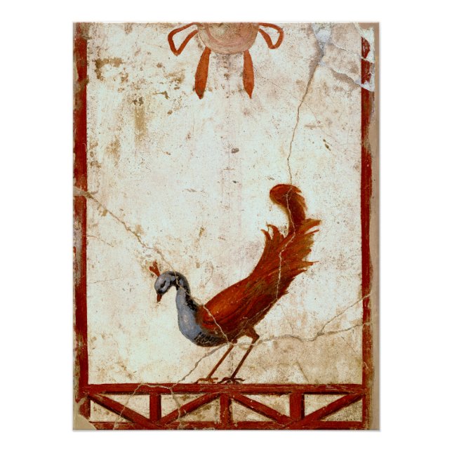 Poster Peacock sur Fresco Ancienne peinture romaine antiq (Devant)