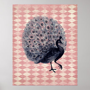 Poster Peacock vintage sur Jacquard rose