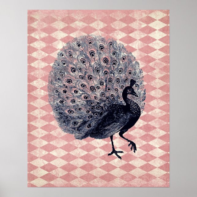 Poster Peacock vintage sur Jacquard rose (Devant)