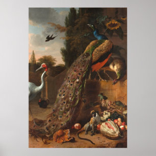 Poster Peacocks