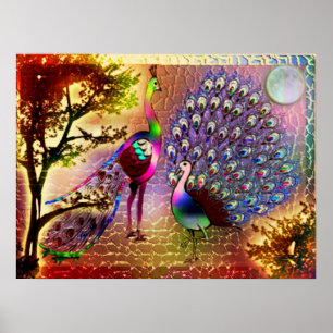 Poster Peacocks2