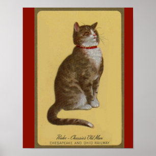 Poster Peake, Chessie’s Old Man tomcat tabby cat