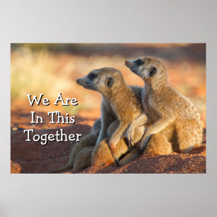 Poster Peau de Meerkats de bébé sous leurs parents