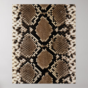 Poster Peau de serpent à sonnette Diamond Back