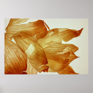 Poster Peau d'oignon