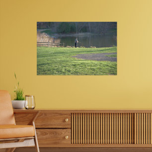 Poster Pêche à la mouche à l'étang