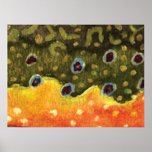 Poster Pêche à la truite