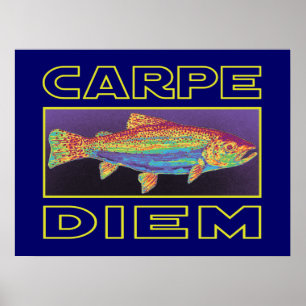 Poster Pêche à la truite
